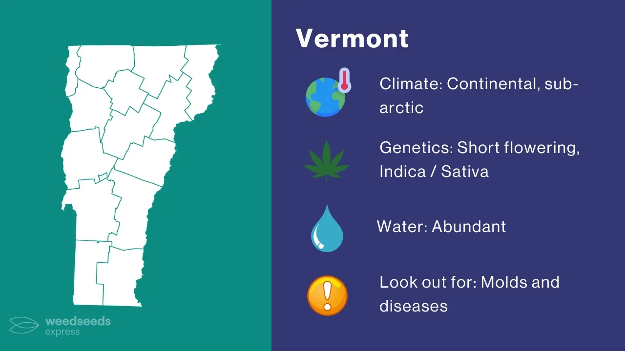 Cannabis Growing Climate in Vermont